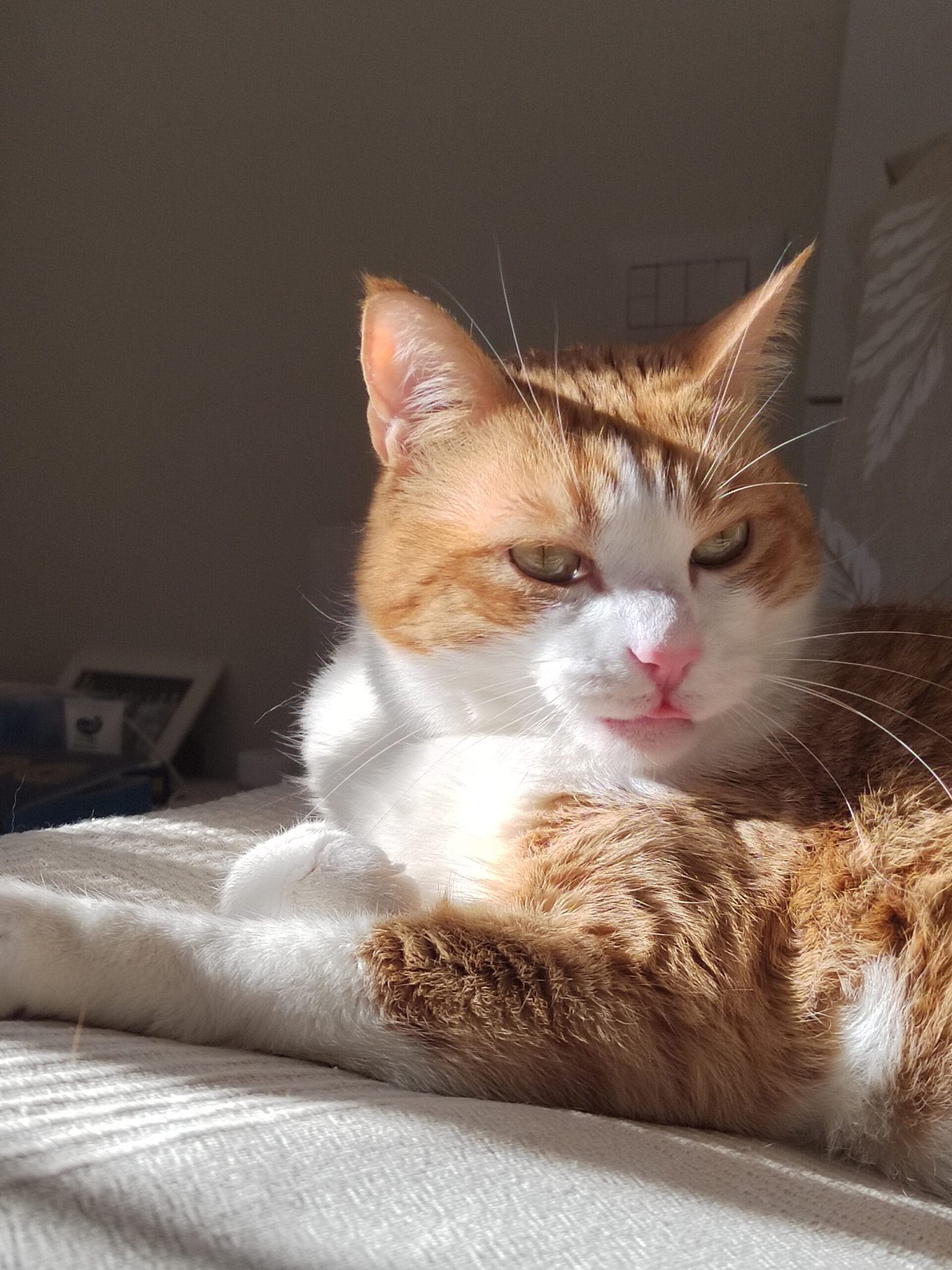 Kuzya